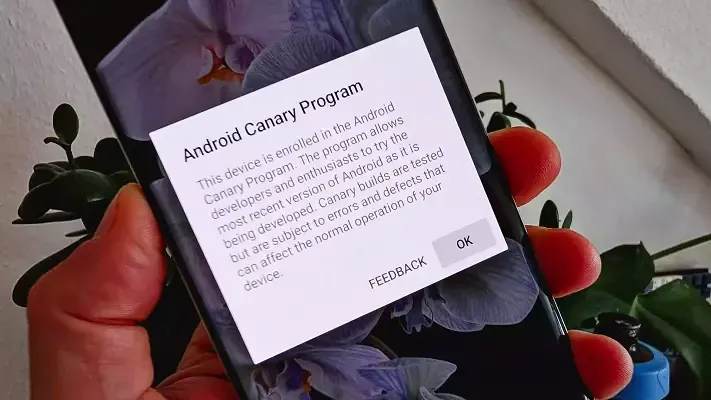 Google Luncurkan Android Canary Channel: Akses Fitur Android Eksperimental, Ribuan Developer Langsung Serbu!