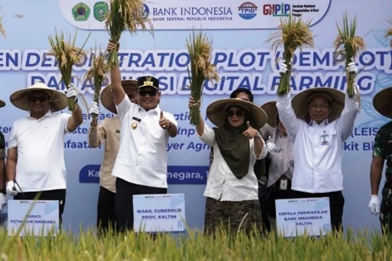 Panen Padi Kukar Meroket 74%, Mentan Yakin Swasembada Pangan Terwujud